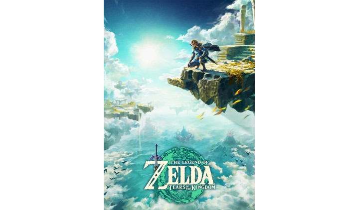 Игра The Legend of Zelda: Tears of the Kingdom (Nintendo Switch, Японский, Русские субтитры)